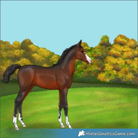 Horse Color:Brown 