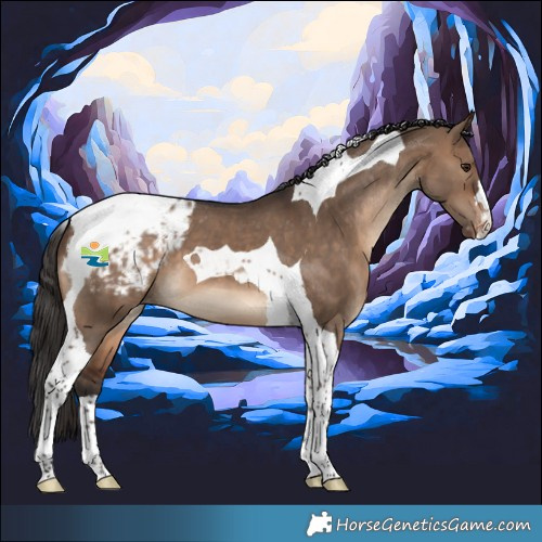 Horse Color:Brown Dun Tobiano Blanket 