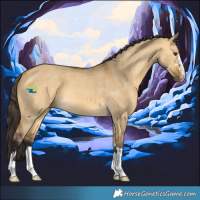 Horse Color:Buckskin Dun 