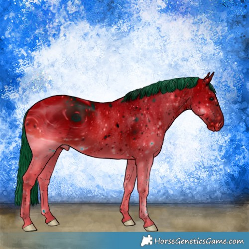 Horse Color:ERROR: UNKNOWN ANOMALY