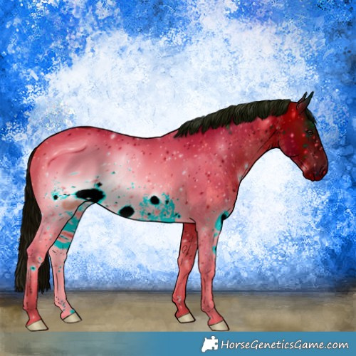 Horse Color:ERROR: UNKNOWN ANOMALY