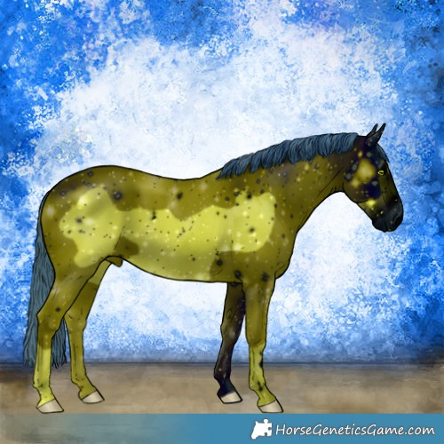 Horse Color:ERROR: UNKNOWN ANOMALY