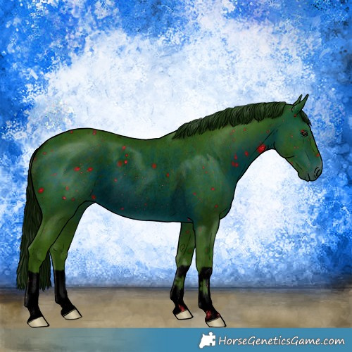 Horse Color:ERROR: UNKNOWN ANOMALY