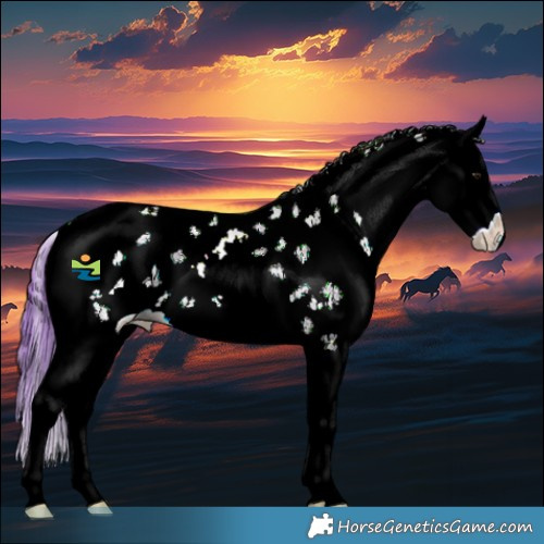 Horse Color:Watercolor Bay Ice Sabino Splash Appaloosa 