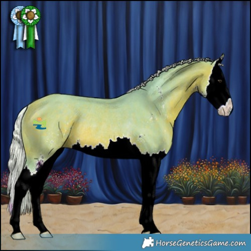 Horse Color:Watercolor Silver Bay Sabino Splash Rabicano 