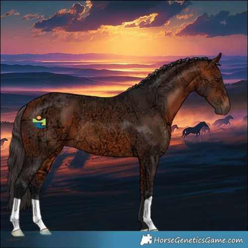 Horse Color:Bay Ice 
