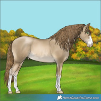 Horse Color:Smoky Black Pearl 