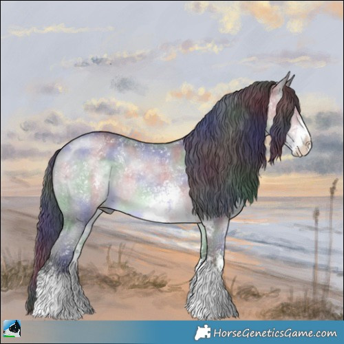 Horse Color:Nacre Brown Chinchilla Sabino 