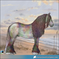 Horse Color:Nacre Chocolate Brown Chinchilla Rabicano 