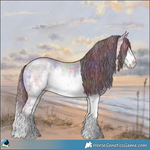 Horse Color:Nacre Plaid  White Spotted Chocolate Brown Chinchilla Sabino Rabicano 