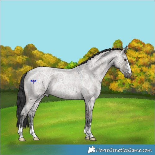 Horse Color:Grullo Ice Roan 