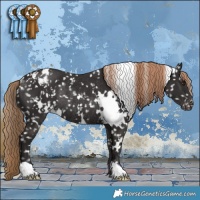 Horse Color:White Spotted Liver Chestnut Snowflake Varnish Rabicano 