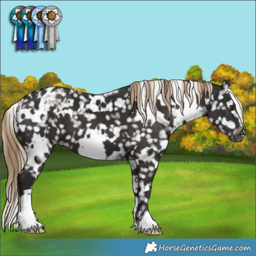 Horse Color:White Spotted Liver Chestnut Blanket 