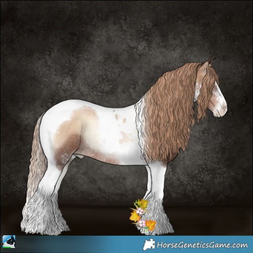 Horse Color:Liver Red Onyx Pearl Sabino Tobiano Rabicano 