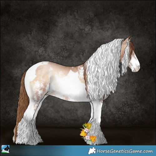 Horse Color:Red Onyx Pearl Sabino Tobiano Rabicano 
