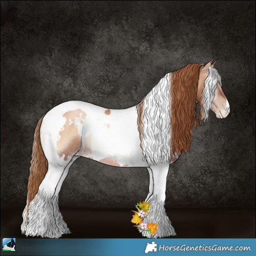 Horse Color:White Spotted Red Onyx Pearl Tobiano Rabicano 