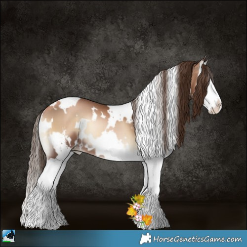 Horse Color:White Spotted Liver Red Onyx Pearl Sabino Splash 