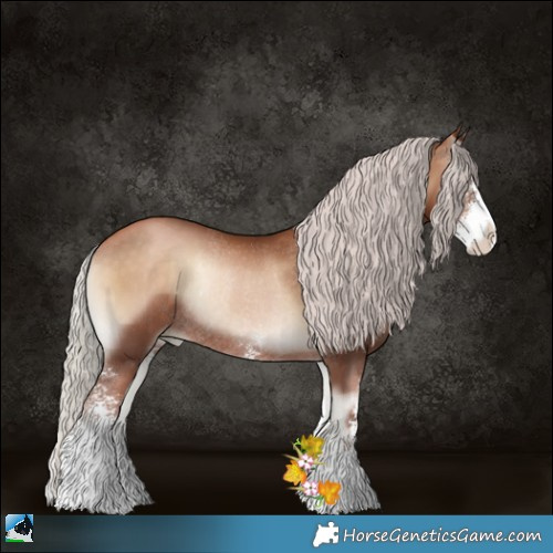 Horse Color:Silver Brown Pearl Onyx Sabino Rabicano 