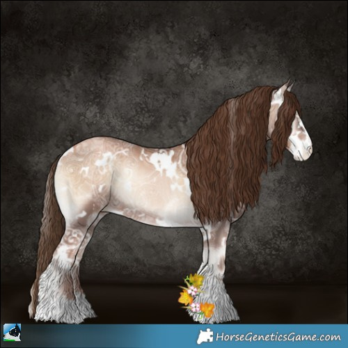 Horse Color:White Spotted Liver Red Onyx Ice Pearl Rabicano 