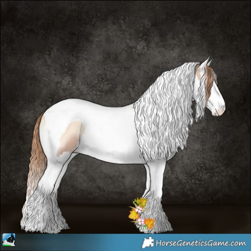 Horse Color:Gold Champagne Pearl Onyx Splash Tobiano 
