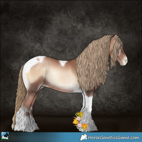 Horse Color:Liver Red Onyx Pearl Tobiano Rabicano 