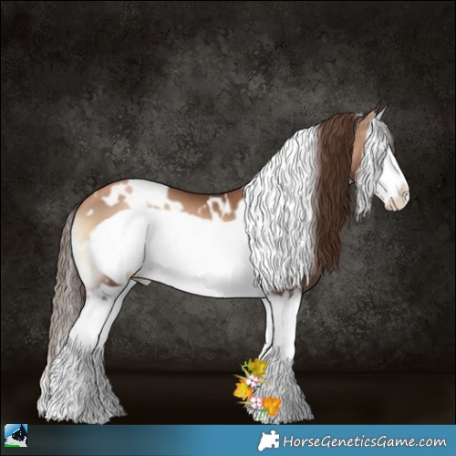Horse Color:White Spotted Liver Red Onyx Pearl Splash Frame 