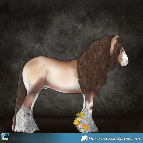 Horse Color:Liver Red Onyx Pearl 