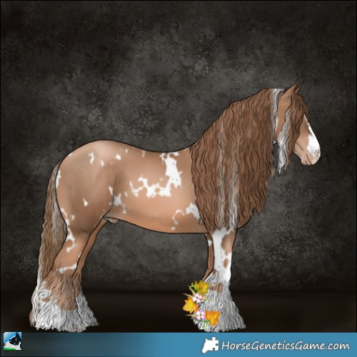 Horse Color:White Spotted Liver Chestnut Pearl 
