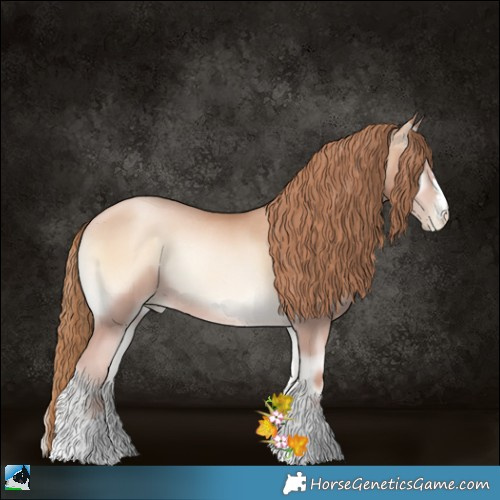 Horse Color:Gold Champagne Pearl Onyx Rabicano 