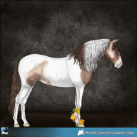 Horse Color:Liver Red Onyx Pearl Tobiano Rabicano 