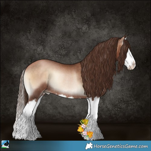 Horse Color:Brown Pearl Onyx Splash Rabicano 