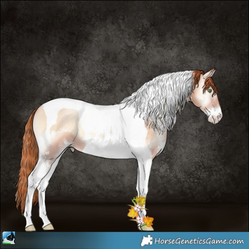 Horse Color:Sable Champagne Pearl Onyx Sabino Tobiano 