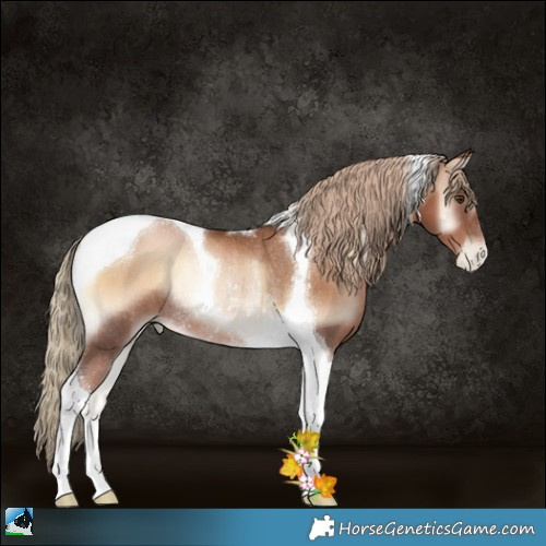 Horse Color:Liver Red Onyx Pearl Tobiano Rabicano 