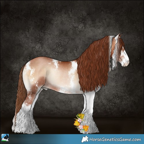 Horse Color:Brown Pearl Onyx Sabino Rabicano 