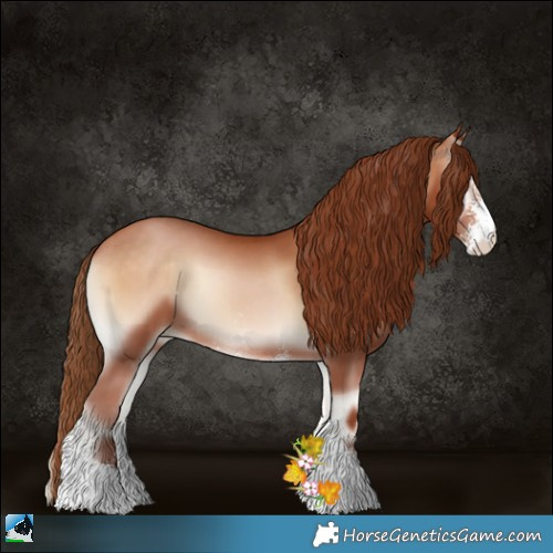 Horse Color:Brown Pearl Onyx Sabino 