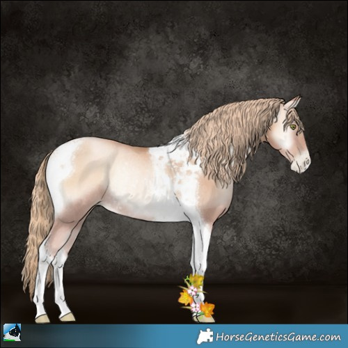 Horse Color:Gold Champagne Pearl Onyx Tobiano Rabicano 