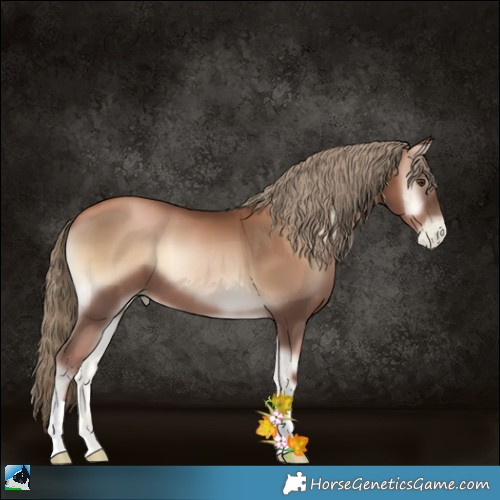 Horse Color:Liver Red Onyx Pearl 