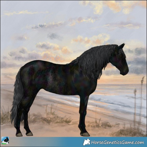 Horse Color:Midnight Black Ice Rabicano