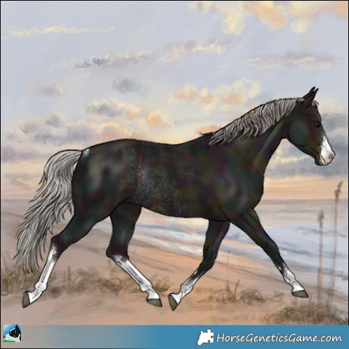 Horse Color:White Spotted Midnight Silver Grullo Mushroom Rabicano 
