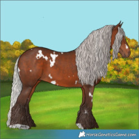 Horse Color:White Spotted Silver Brown 