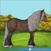 Horse Color:Silver Brown 