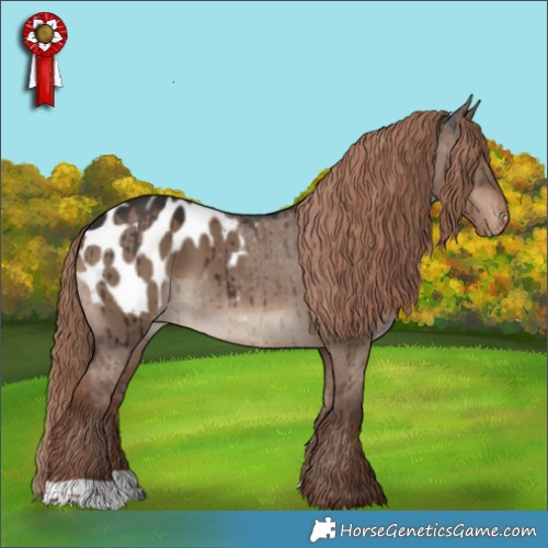 Horse Color:Liver Red Dun Appaloosa Brindle 