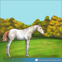 Horse Color:Watercolor Chestnut Ice Splash Tobiano 