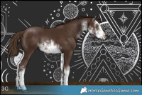 Horse Color:White Spotted Liver Chestnut Rabicano 