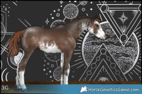 Horse Color:White Spotted Liver Chestnut Rabicano