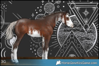 Horse Color:White Spotted Silver Bay Rabicano 