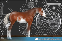 Horse Color:White Spotted Silver Bay Rabicano