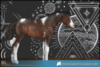 Horse Color:White Spotted Liver Chestnut Tobiano Rabicano