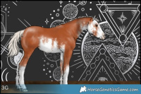 Horse Color:White Spotted Silver Bay 