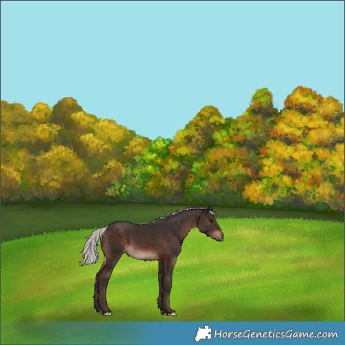 Horse Color:Silver Brown 